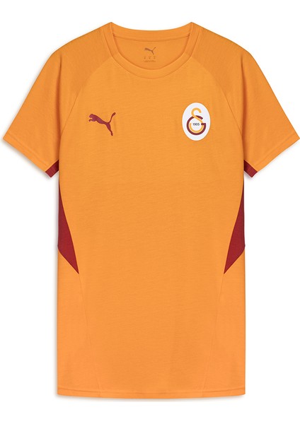 Galatasaray Puma A Takım T-Shirt 78290606