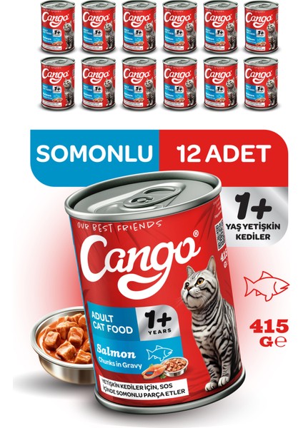 Yetişkin Yaş Kedi Maması Somonlu 415GR 12LI