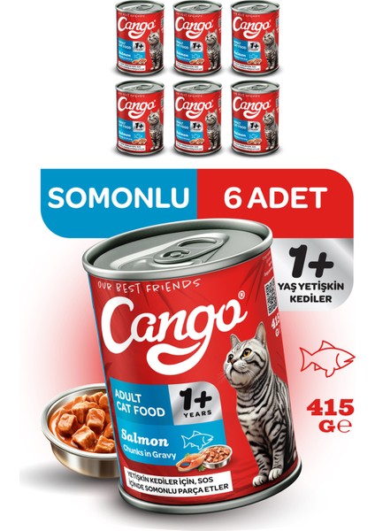 Yetişkin Yaş Kedi Maması Somonlu 415GR 6lı