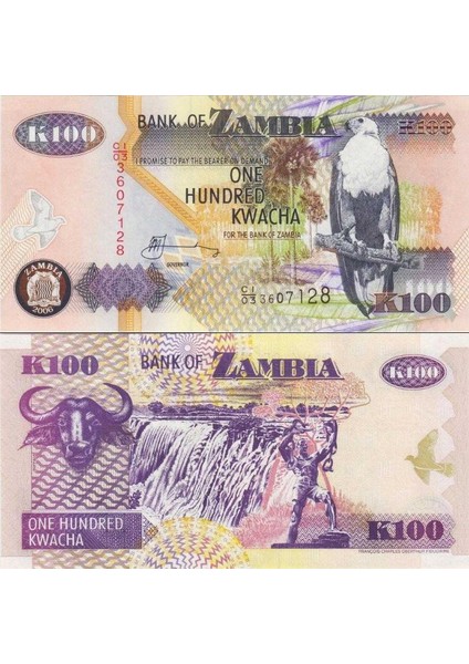 Zambiya 100 Kwacha 2006 Eski Tarihli. Çil Kondisyon.