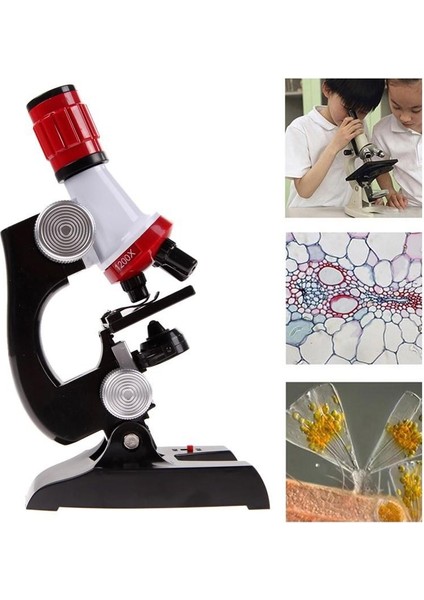 N205 C2121 Kutulu Mikroskop 100X400X1200 modelleri