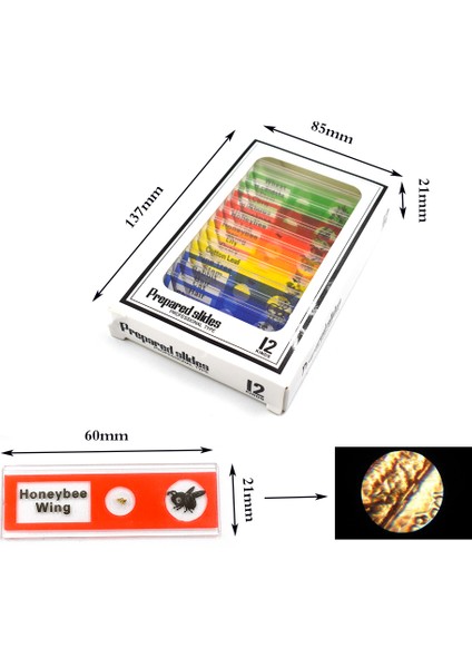 N205 C2121 Kutulu Mikroskop 100X400X1200 fırsatları