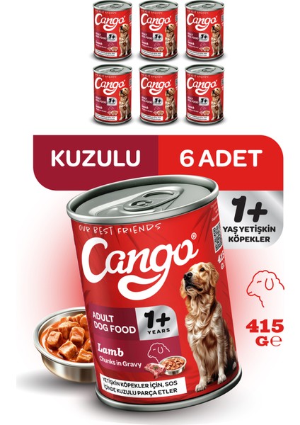 Yetişkin Yaş Köpek Maması Kuzu Etli 415GR 6lı