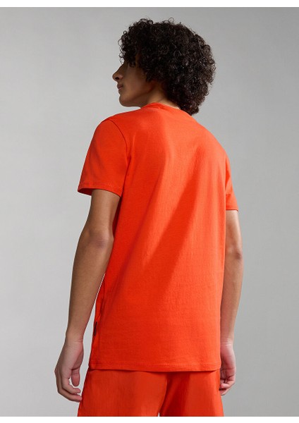 Kırmızı Erkek Çocuk Bisiklet Yaka Kısa Kollu T-Shirt NP0A4H32R051 K S-Zamora fiyatları