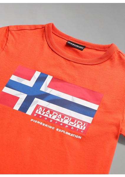 Kırmızı Erkek Çocuk Bisiklet Yaka Kısa Kollu T-Shirt NP0A4H32R051 K S-Zamora indirimleri