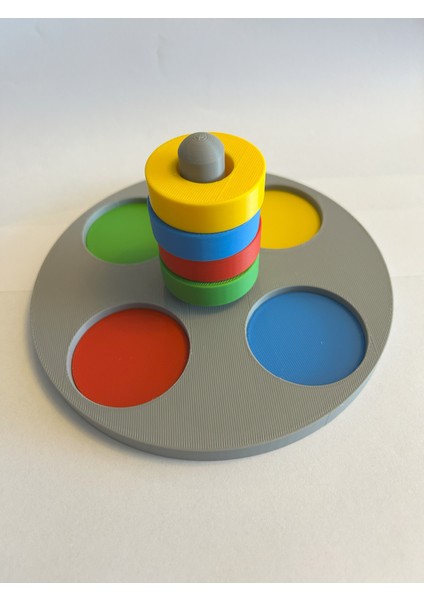 Montessori Renk Eşleştirme Oyuncağı – Halkalı Bul-Tak – Motor Beceriler ve Zeka Geliştirici - 3D