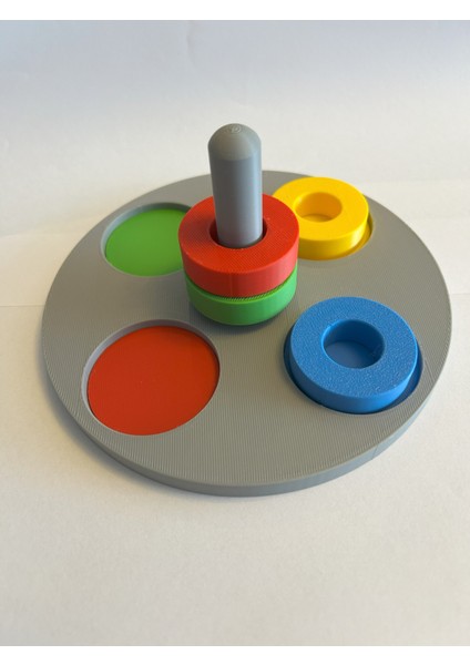 Montessori Renk Eşleştirme Oyuncağı – Halkalı Bul-Tak – Motor Beceriler ve Zeka Geliştirici - 3D