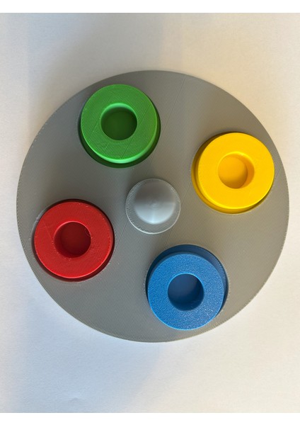 Montessori Renk Eşleştirme Oyuncağı – Halkalı Bul-Tak – Motor Beceriler ve Zeka Geliştirici - 3D