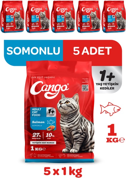Yetişkin Kedi Maması Somonlu 1 kg 5'li