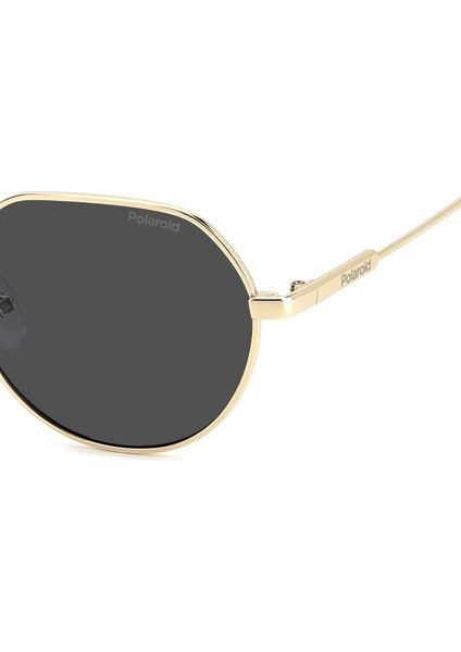 Altın Unisex Güneş Gözlüğü Pld 6236/S/X indirimleri