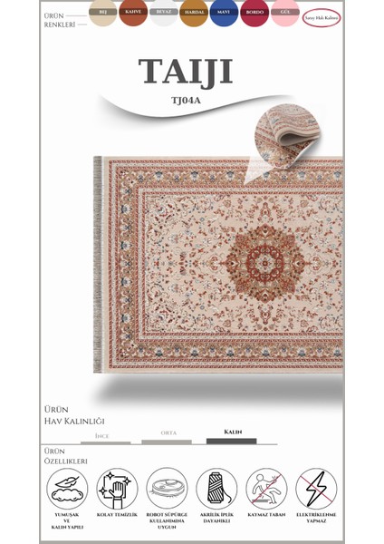 Klasik Salon Halısı Taıjı TJ04A