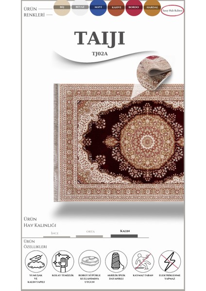 Klasik Salon Halısı Taıjı TJ02A