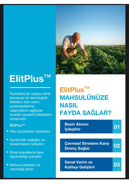 Elit Plus 10 Lt