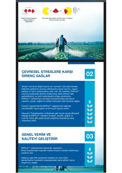 Elit Plus 10 Lt fiyatları