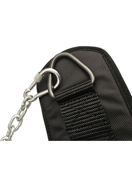 Fitness Pro Dips Ağırlık Kemeri Siyah M fırsatları