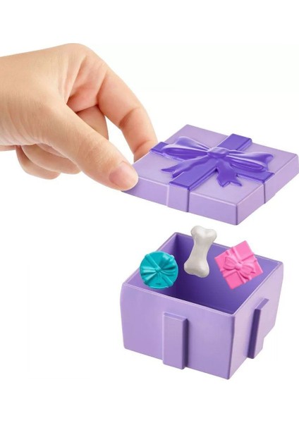 JCC33 Polly Pocket Pollynin Doğum Günü Partisi Paketi
