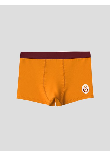 Yeni Sezon Galatasaray Baskili Erkek Cocuk Boxer 2'li - S5G277Z4 modelleri