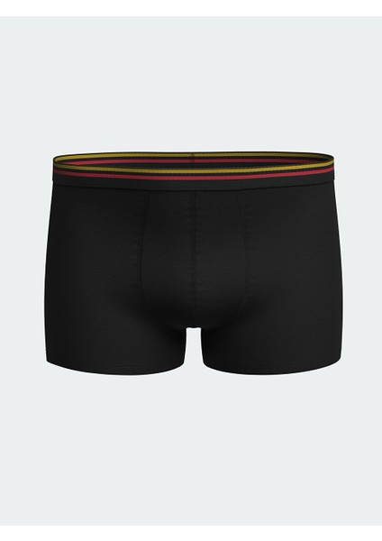 Yeni Sezon Standart Kalip Pamuklu Esnek Erkek Boxer 3'lu - S5IE41Z8