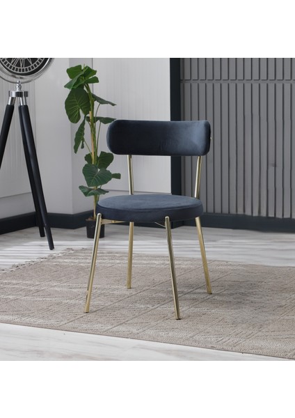 Tedi Gold Sandalye(4 Adet) fiyatları
