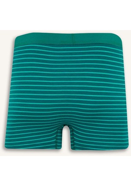 Yeni Sezon Regular Fit Çizgili 3'lü Boxer