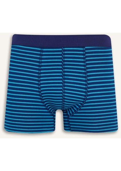 Yeni Sezon Regular Fit Çizgili 3'lü Boxer