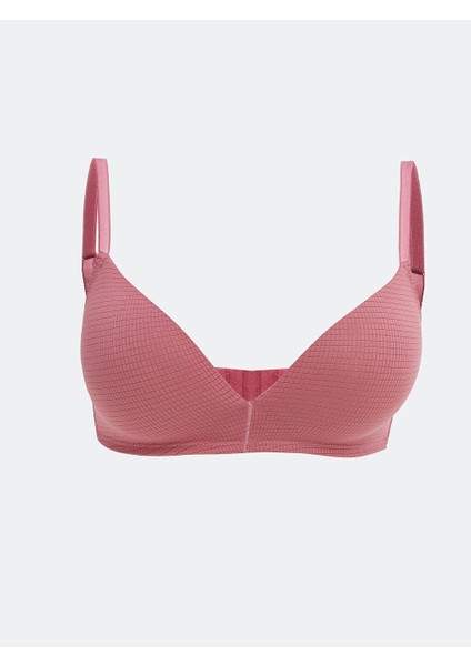 Iüg,leıla-New-Everyday (W4)