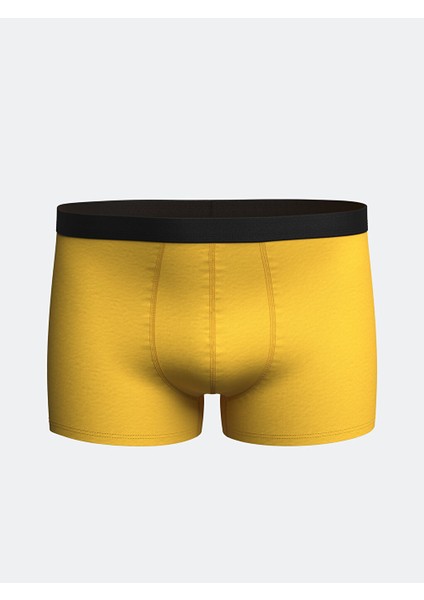 Yeni Sezon Standart Kalip Pamuklu Esnek Erkek Boxer 3'lu - S59296Z8