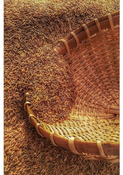 Ekmeçioğulları Demir Sülfat Heptahidrat 25 kg indirimleri