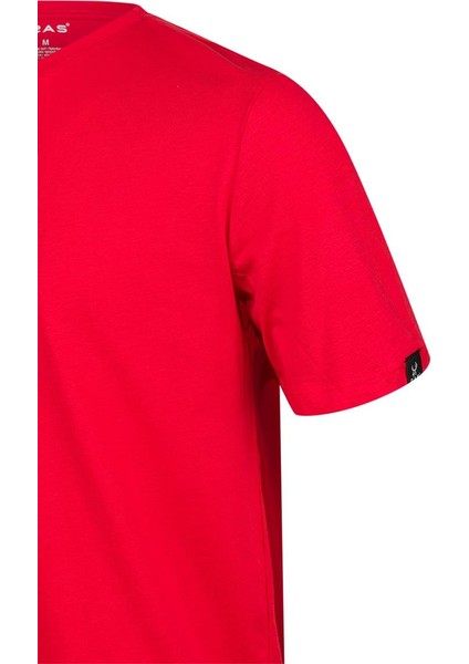 Alex Baskılı Erkek Sıfır Yaka T-Shirt 042 modelleri