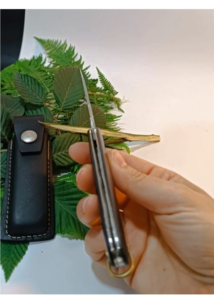 Aşı Bıçağı Düz Bağ Bıçağı Aşı Çakısı modelleri
