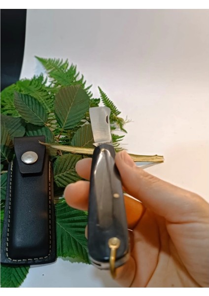 Aşı Bıçağı Düz Bağ Bıçağı Aşı Çakısı indirimleri