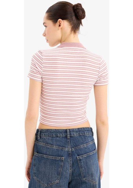 Yeni Sezon Fitted Polo Yaka Çizgili Fitilli Kaşkorse Kısa Kollu Tişört indirimleri