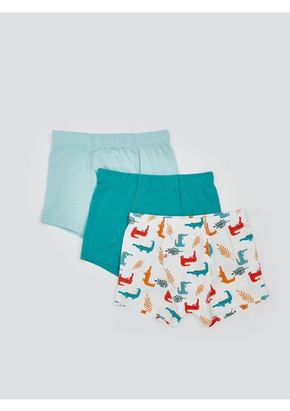 Yeni Sezon Penye Erkek Cocuk Boxer 3'lu - S5FO63Z1