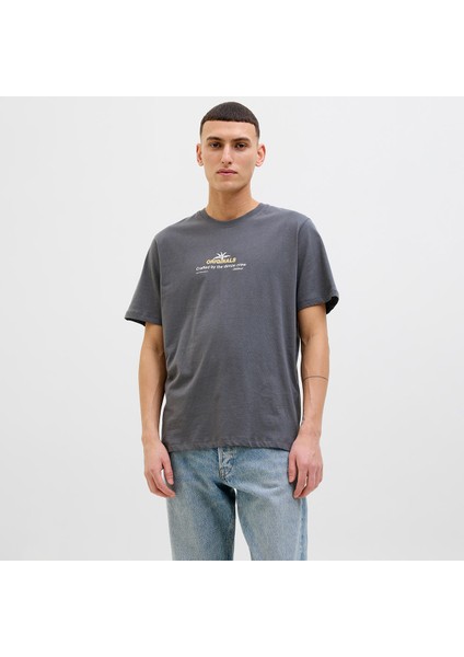 Jack&jones Star Erkek Gri Yuvarlak Yaka Tişört
