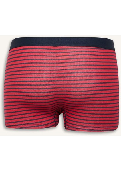 Yeni Sezon Regular Fit 3'lü Boxer
