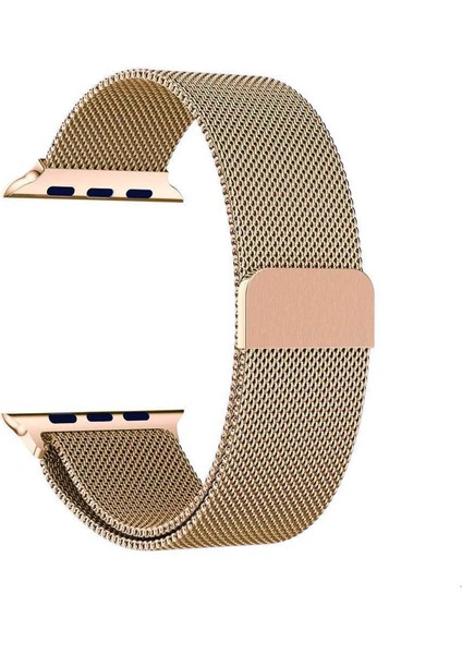 Apple Watch 10 42MM 6 7 8 9 10 Se Uyumlu 38 40 41MM Milano Metal Hasır Mıknatıslı Kordon Paslanmaz Çelik