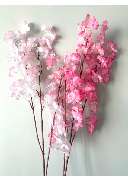 Japon Bahar Dalı Kiraz Çiçeği Sakura 2 Adet