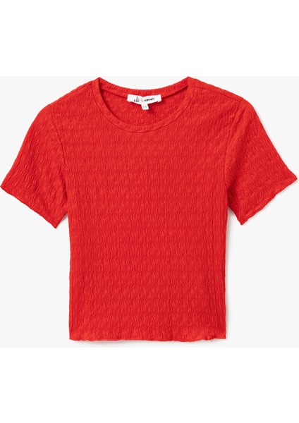 Yeni Sezon Basic Kısa Kollu Bisiklet Yaka Dokulu Crop Tişört Bürümcük modelleri