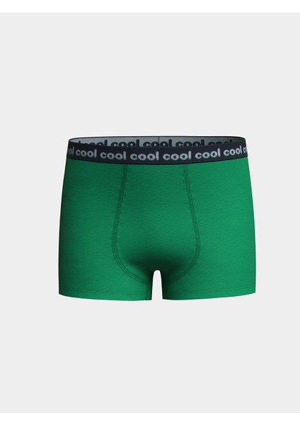Yeni Sezon Erkek Cocuk Boxer 3'lu - S50211Z4