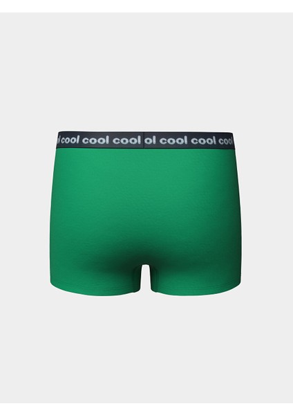 Yeni Sezon Erkek Cocuk Boxer 3'lu - S50211Z4