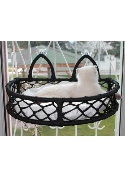 Lüxperilay Cam Güzeli Kedi Köpek Yatak Mix 50X35 cm