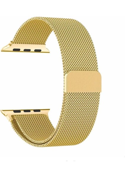 Apple Watch 10 42MM 6 7 8 9 10 Se Uyumlu 38 40 41MM Milano Metal Hasır Mıknatıslı Kordon Paslanmaz Çelik