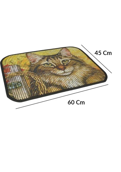 Kum Toplayıcı Fonksiyonel Renkli Kedi Paspası 45 x 60 cm fırsatları