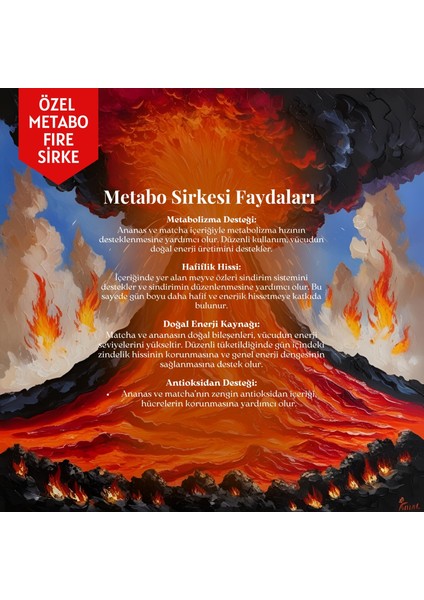 Metabo Fire Sirke – Ananas, Matcha ve Kayısı Özlü Doğal Sirke, 250 ml