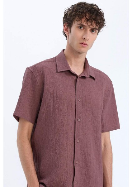 Yeni Sezon Regular Fit Polo Yaka Krinkıl Yazlık Kısa Kollu Gömlek