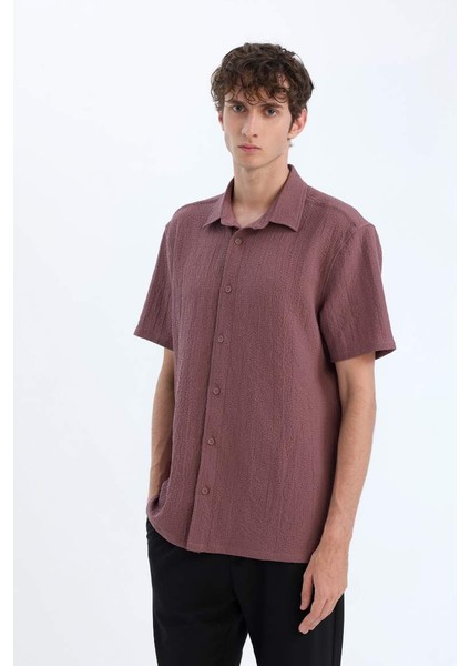 Yeni Sezon Regular Fit Polo Yaka Krinkıl Yazlık Kısa Kollu Gömlek