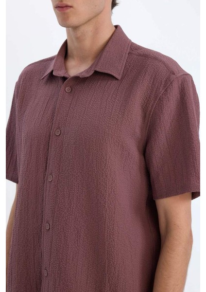 Yeni Sezon Regular Fit Polo Yaka Krinkıl Yazlık Kısa Kollu Gömlek