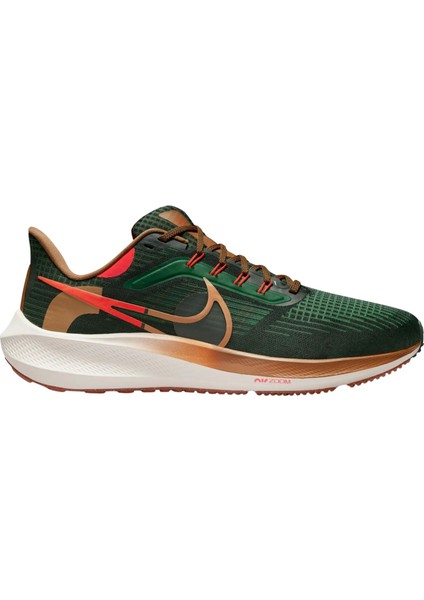 Pegasus 39 A.ı.r. Hola Lou Road Running Erkek Spor Ayakkabı DO9500-300