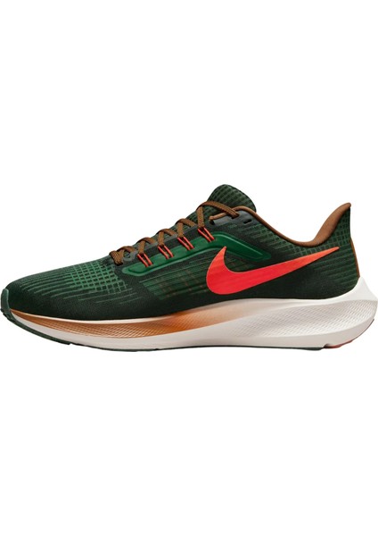 Pegasus 39 A.ı.r. Hola Lou Road Running Erkek Spor Ayakkabı DO9500-300