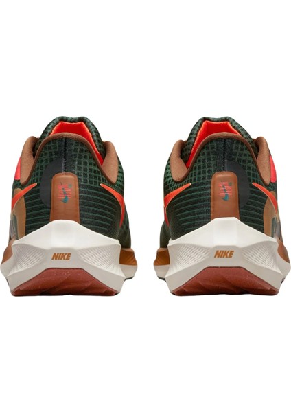 Pegasus 39 A.ı.r. Hola Lou Road Running Erkek Spor Ayakkabı DO9500-300